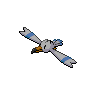 Dark Wingull